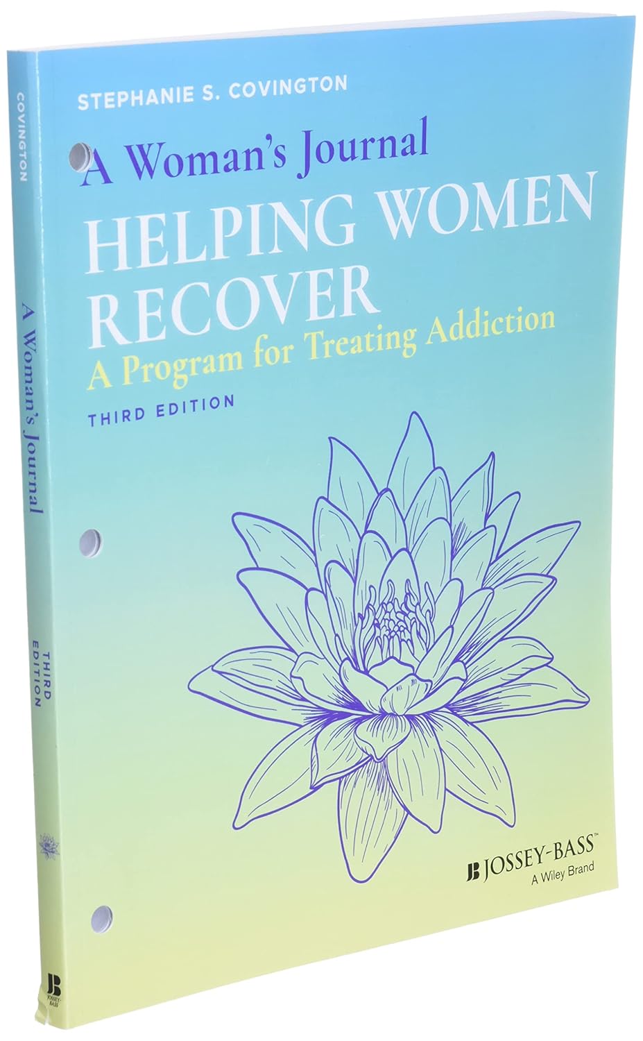 A Woman's Journal: Helping Women Recover      Paperback – May 14, 2019