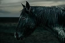 Review Image by Kenzie Holmberg Kenzie Holmberg