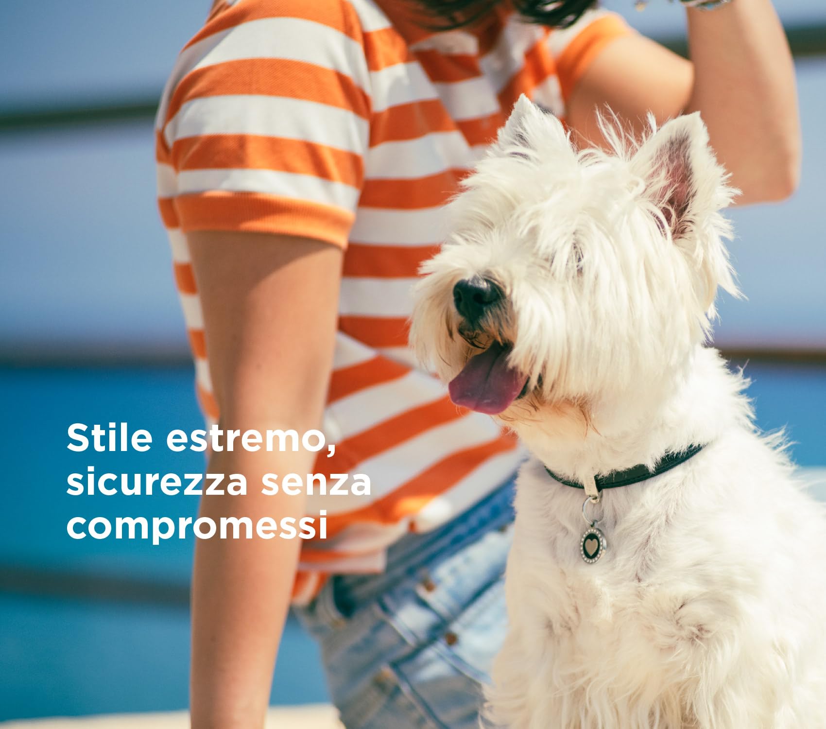 Medaglietta Per Cane My Family - Zampa Con Strass Nero, Smaltata A Mano - Foto 2