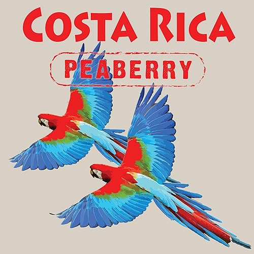 Miniatura 2 de Costa Rica Peaberry  Café en grano entero de Aroma Ridge  Granos de café gourmet de tostado medio de 16 onzas  Granos de café tostado de cuerpo