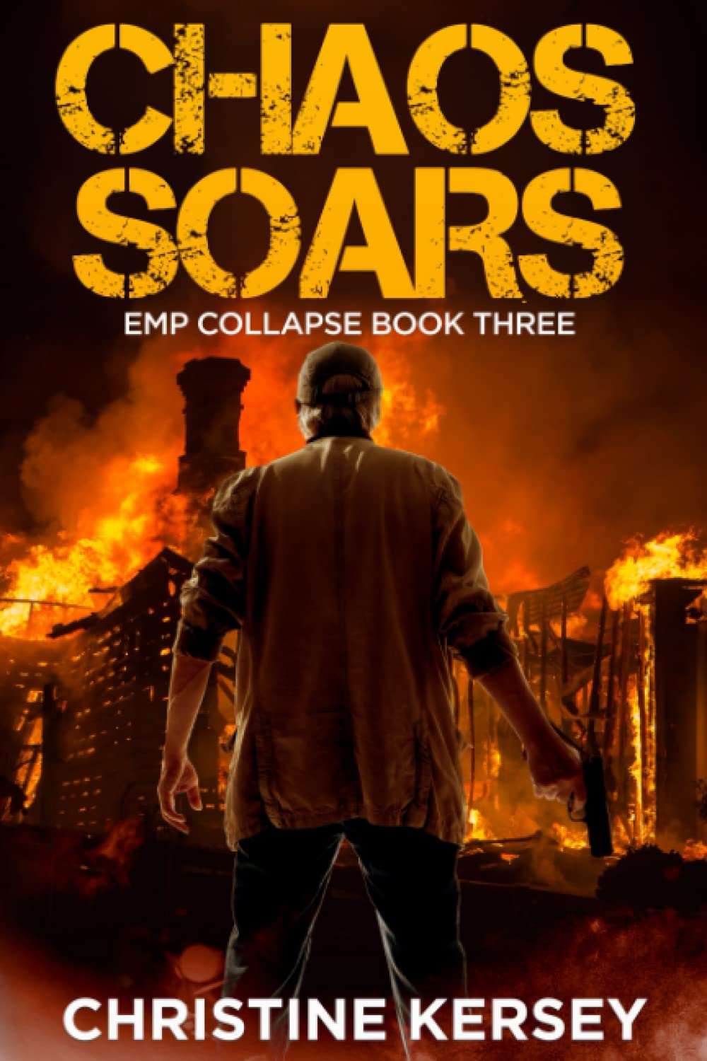 Cover of Chaos Soars