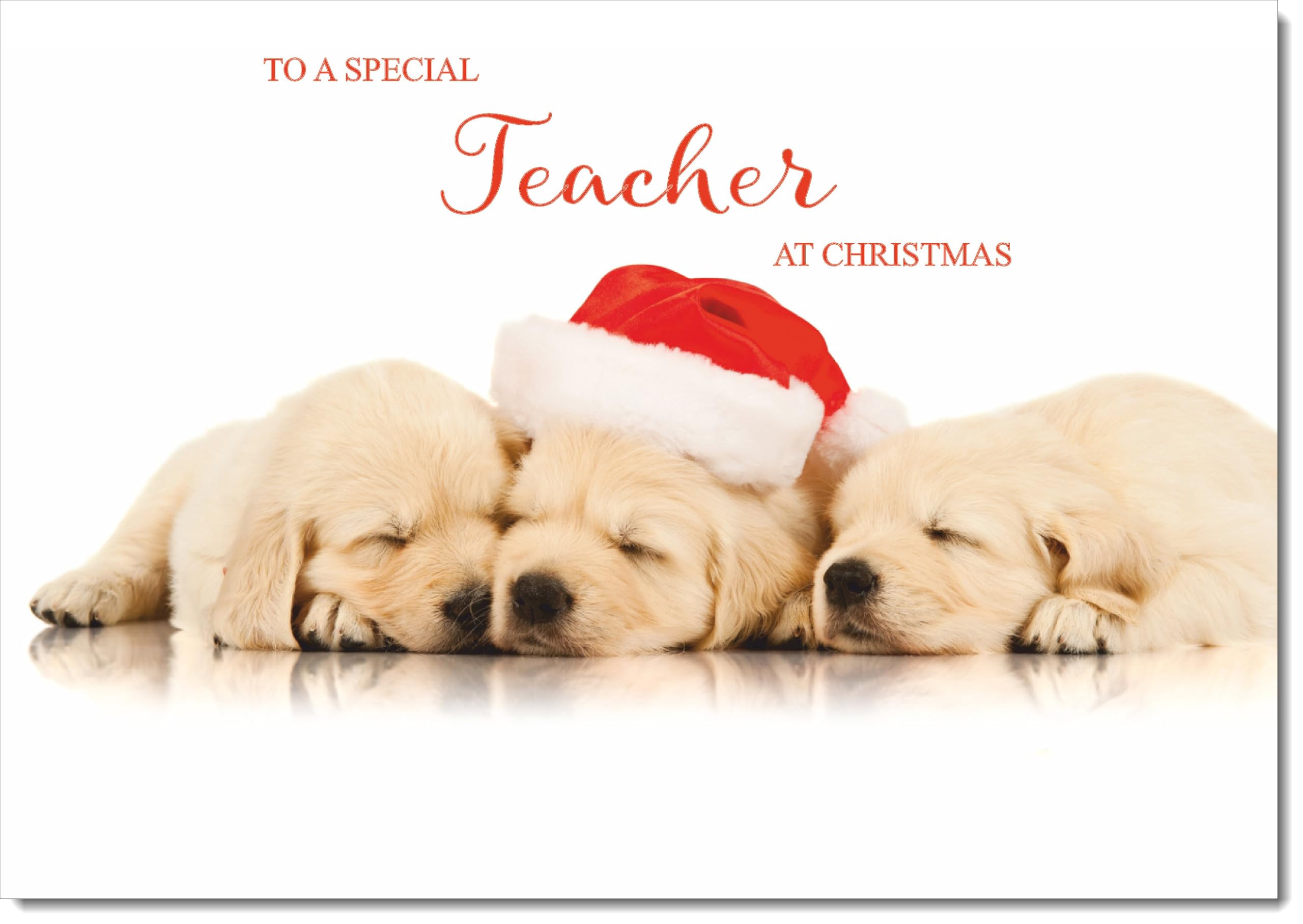 doodlecards Teacher Christmas Card Puppies with Santa Hat Large A4 Size Christmas Card for Teacher with Plain Envelope โ image 1