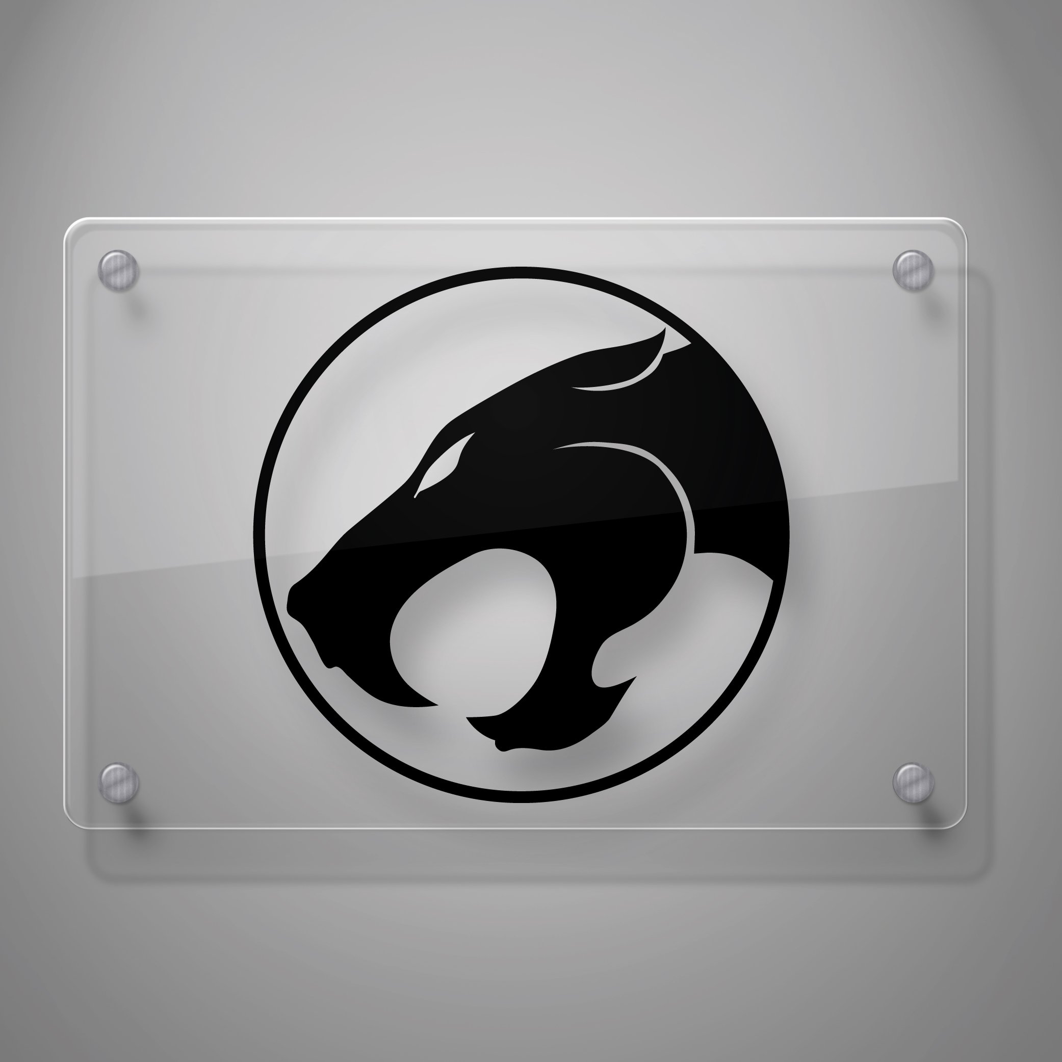 Yoonek Graphics Cats Decal Sticker for Car Window, Laptop, Motorcycle, Walls, Mirror and More. # 537 (6