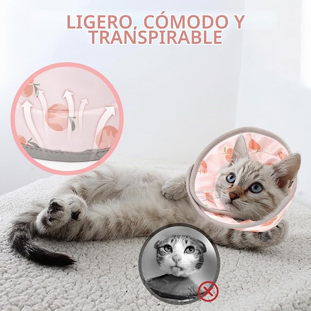 Foto 5 de 7 de Collar Isabelino Gatos Perro,Después de la Cirugía y Lesiones (Rosa, S)