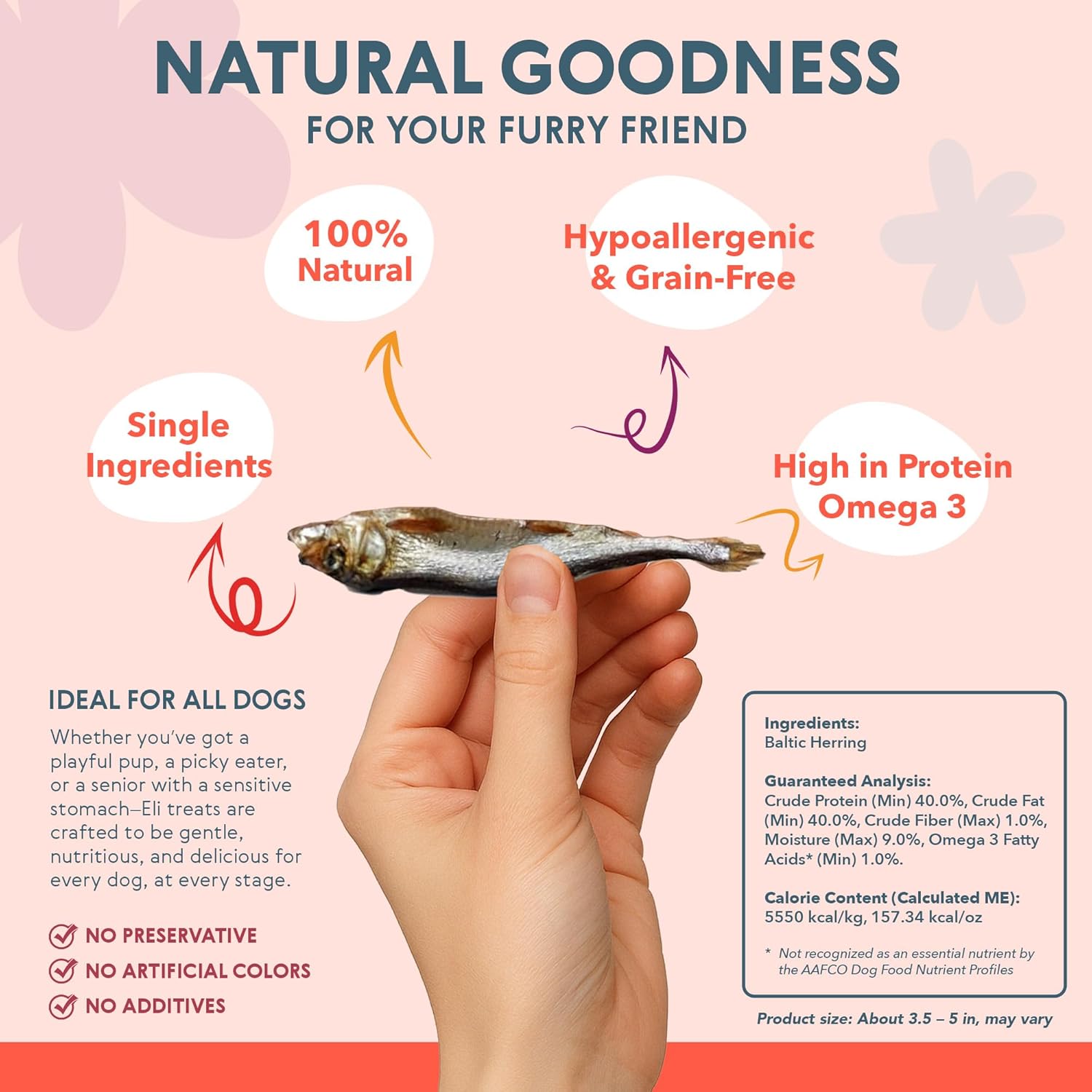 Eli Baltic Herring – A Natural, Protein-Packed Dog Treat Made from Whole Small Fish, Rich in Omega-3, Ideal as a Flavorful Snack or Meal Topper, Single Ingredient, Grain Free, Air Dried – 2 Lbs