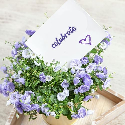 Miniatura 6 de ORIGACH 28 piezas de troqueles de corte de palabras de sentimientos, palabras de sombras, plantillas de corte de metal, plantilla de estampado para