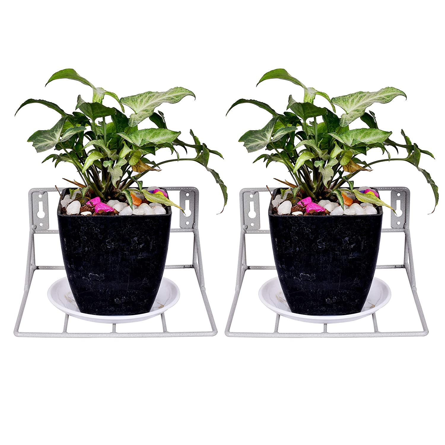 Dime Store Hanging Plant Stand / Flower Pot Stand / Plant Hanger For Balcony / Plant Hanging Basket (White, Set Of 2) (B0BHJKW1ZB) Amazon Price History, Amazon Price Tracker
