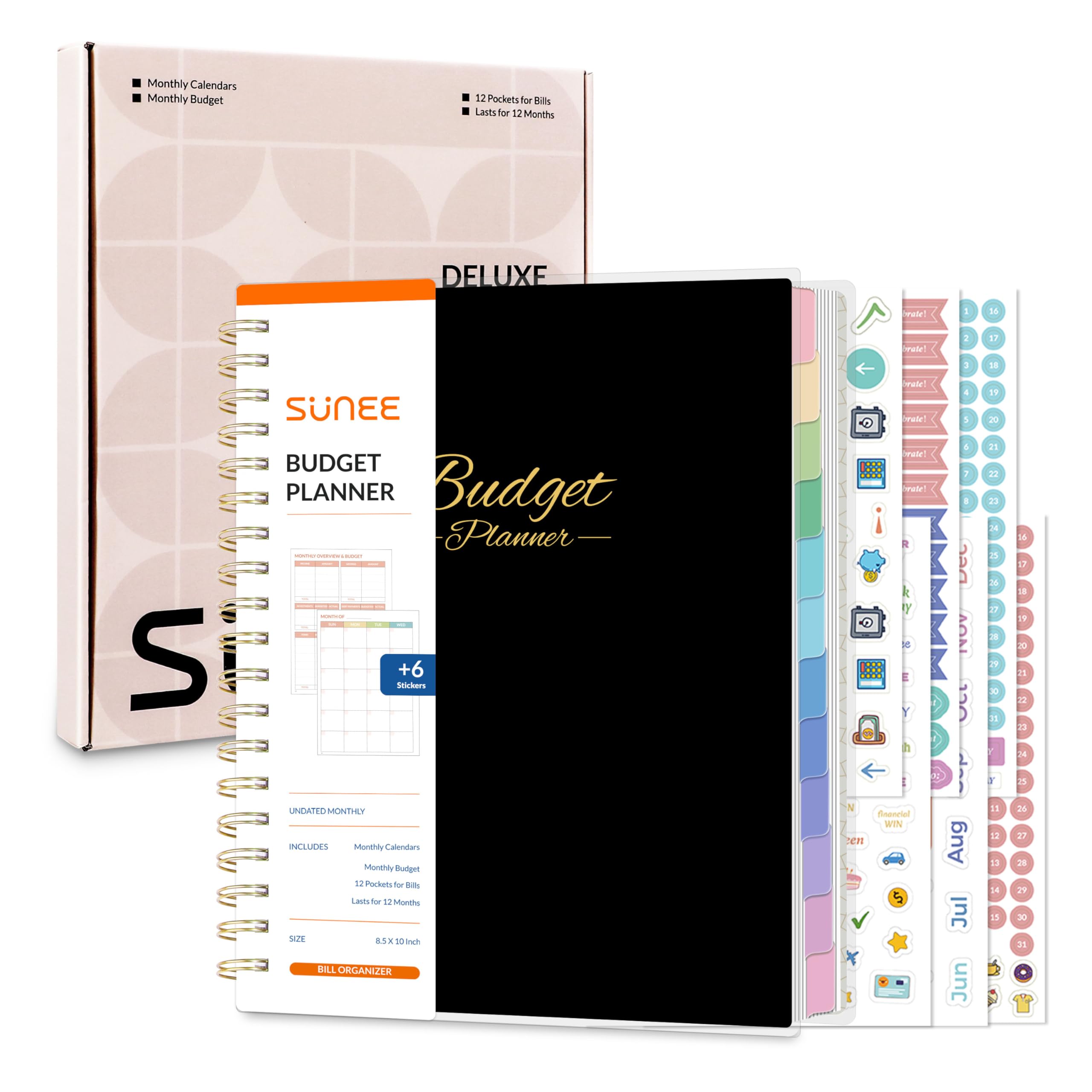 Monthly Bill Payment Organizer: 12 Month Undated | Monthly Bill Planner and Organizer | Bill Payment Tracker | bill tracker notebook | Expense and ... | Expense and Bill Tracker for 9 Years: Rk billers