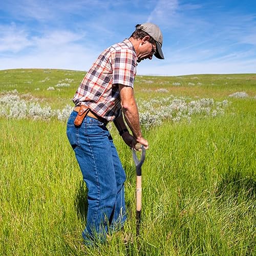 Miniatura 6 de Mango de agarre en Y de 1.2 in de diámetro interior, mango de repuesto de pala de metal, manijas de accesorios de jardín con agarre de madera para
