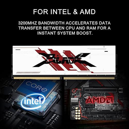 Miniatura 6 de PUSKILL Memoria RAM DDR4 32 GB (2 × 16 GB) 3200 MHz PC4-25600 CL16-18-18-22 1.35V Intel AMD Desktop Computer Memory