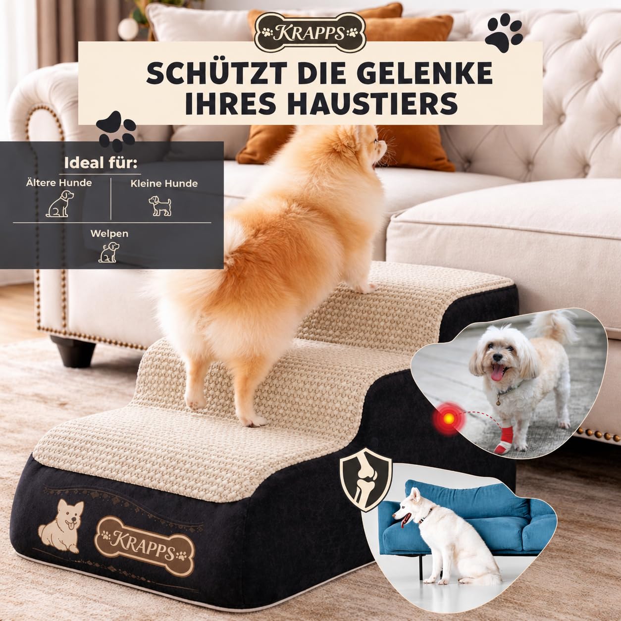 Hundetreppe für kleine Hunde mit Tierhaarentferner-Handschuh und Pfotenreiniger - Katzentreppe für Sofa und Bett, rutschfest, wasserabweisend, mit waschbarem Bezug