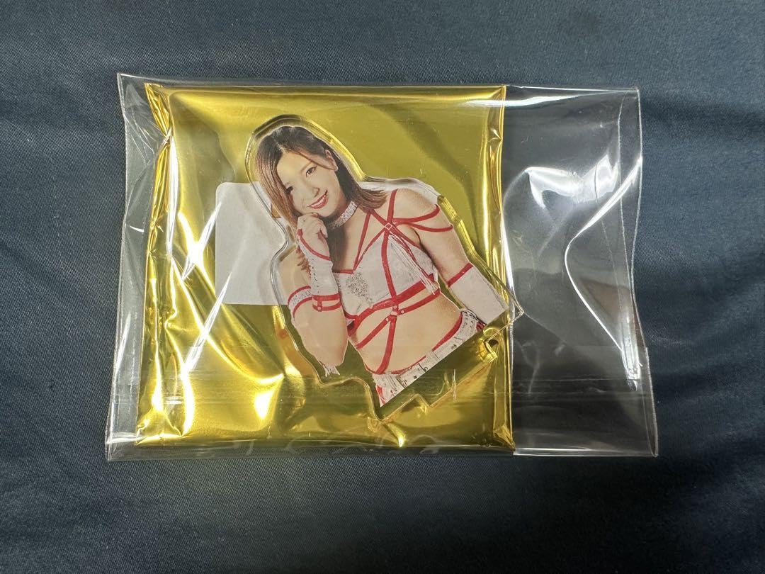 女子プロレス　マリーゴールド　ランダムアクリルスタンド3 青野未来　11点セット Amazon.co.jp: 女子プロレス マリーゴールド ランダムアクリル