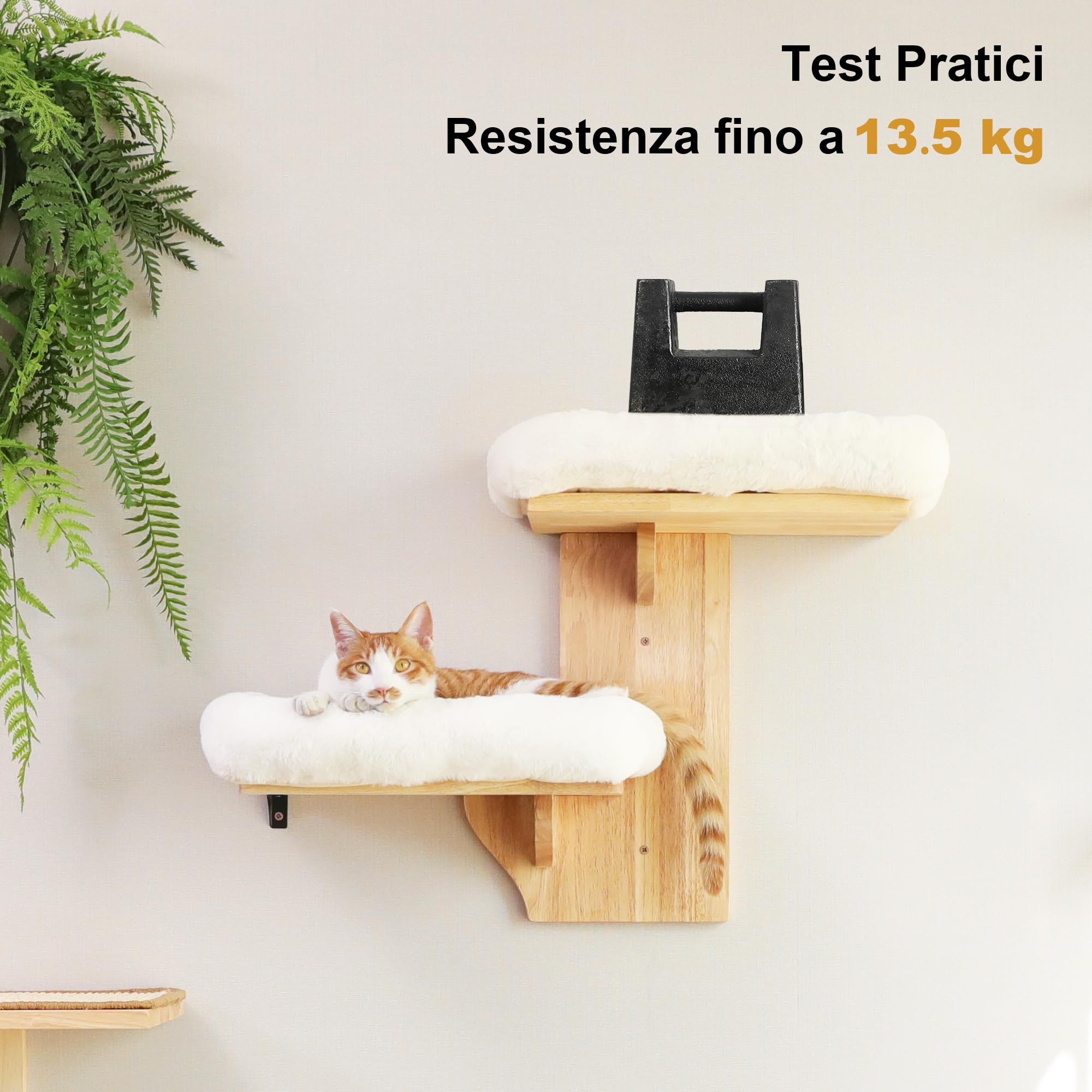 FUKUMARU Mensole per Gatti da Parete,2 Gradini da Parete per Gatto,Mensole Fatto di Legno Massiccio di Gomma con Letti Morbidi, Cuccia da Parete per Gatto si Arrampica e Riposa.