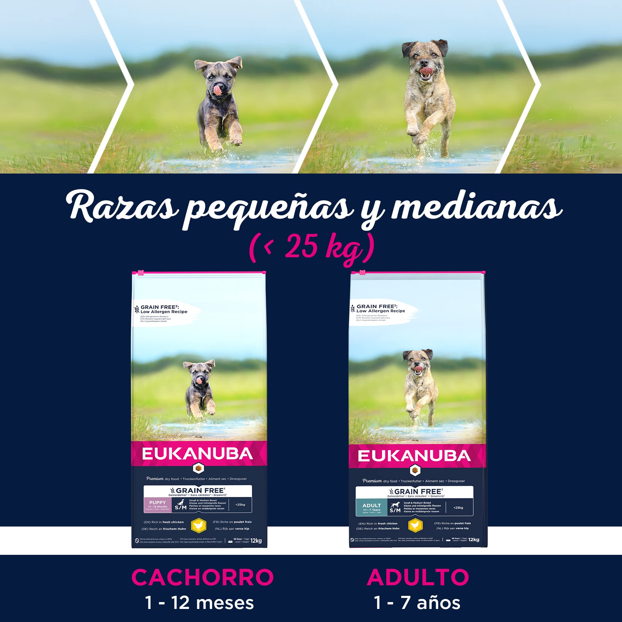 EUKANUBA Grain Free, Alimento para Cachorros de Razas Pequeñas y Medianas, Rico en Pollo, 12kg