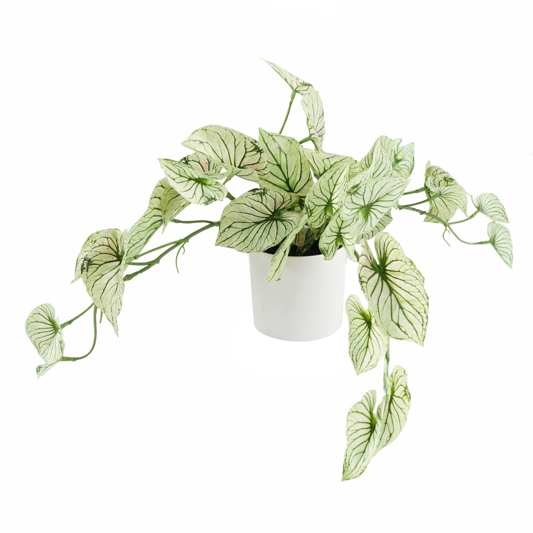 Leaf 30Cm Artificial Trailing Plant Variegated Potted Alocasia White