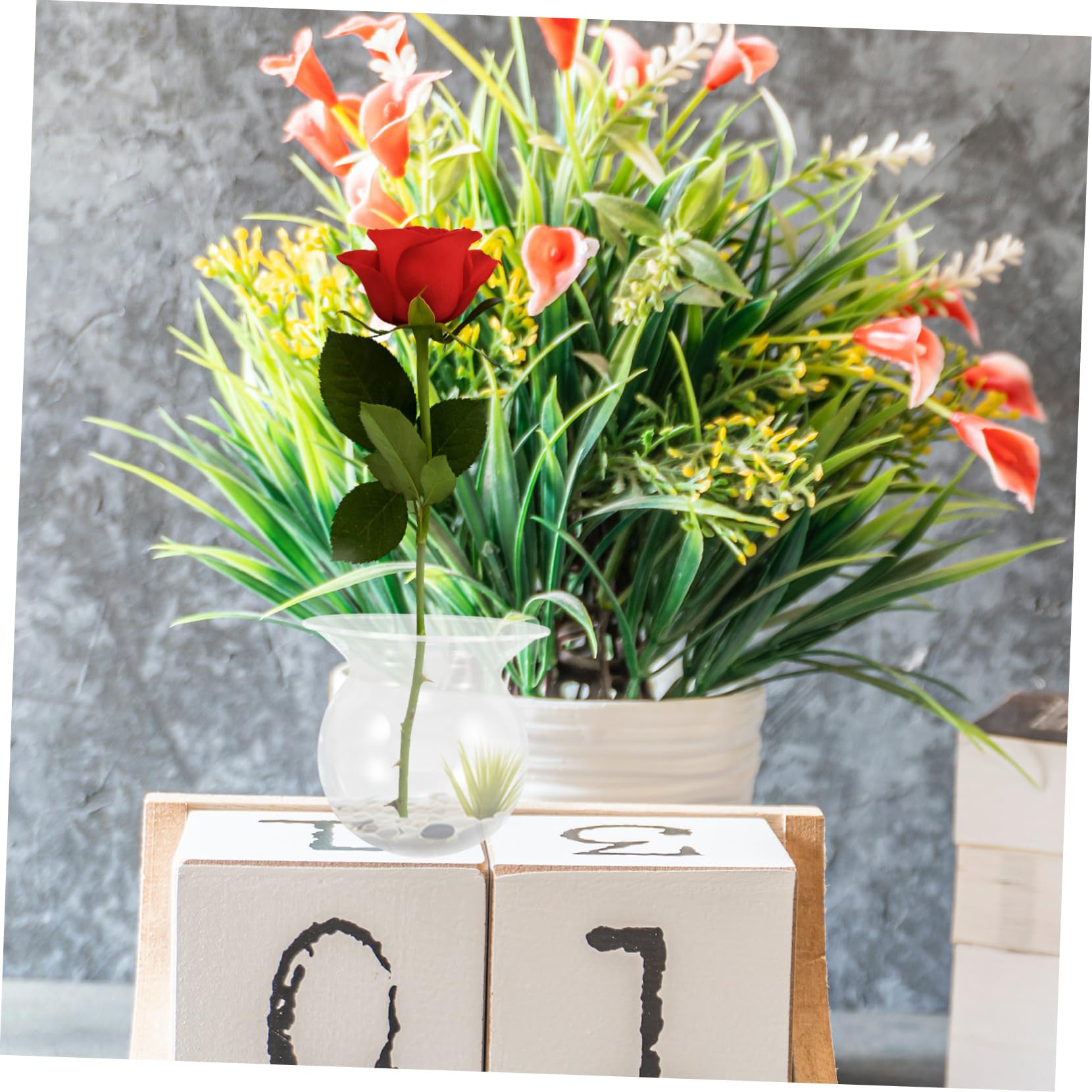 Vase en Verre Rond Minimaliste 4 Pièces pour Propagation