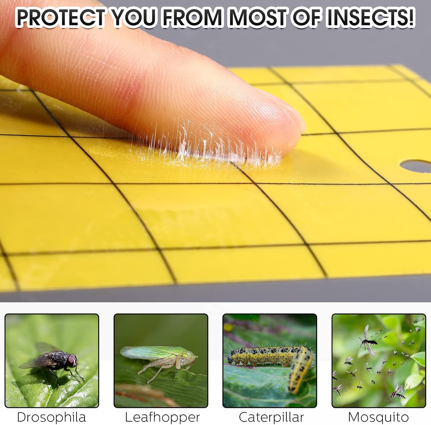 Qualirey 300 Sticky Trap for Gnats 3 x 5'' Dual Side Sticky Fruit Fly Trap with Tie Plant for Flying Insect Fungus Bugs Flying Catcher for Indoor (Yellow)