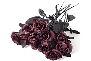 10pack Wine Red Rose Bouquet