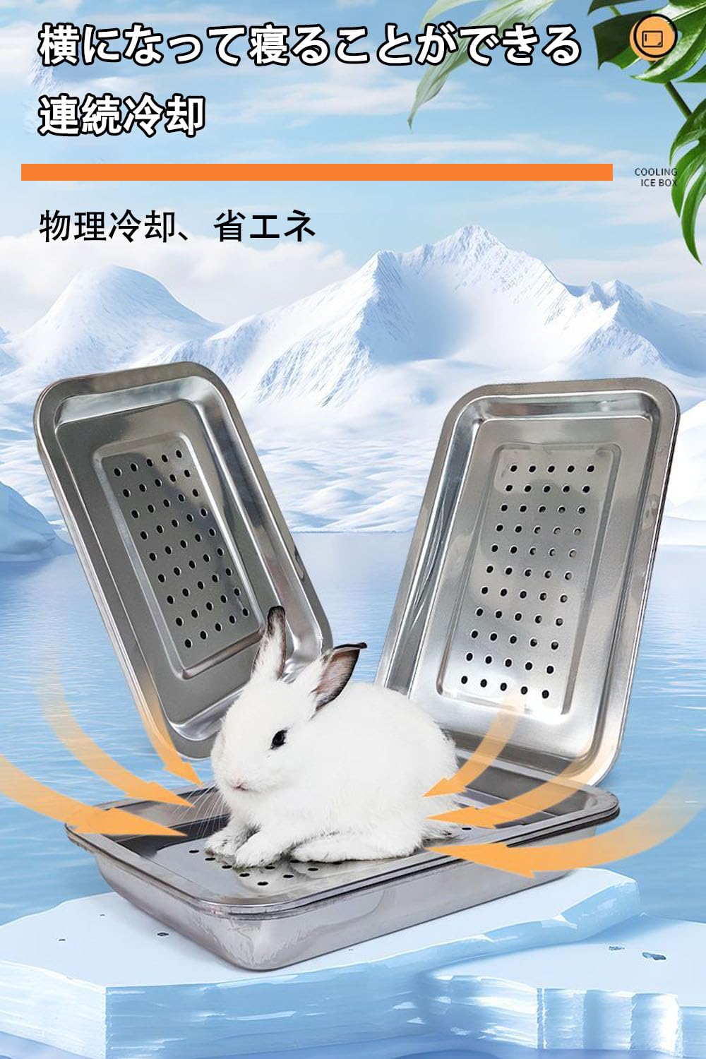 美品】Gien ジアン ランブイエ GARANTI 兎 ウサギ プレート 美品】Gien