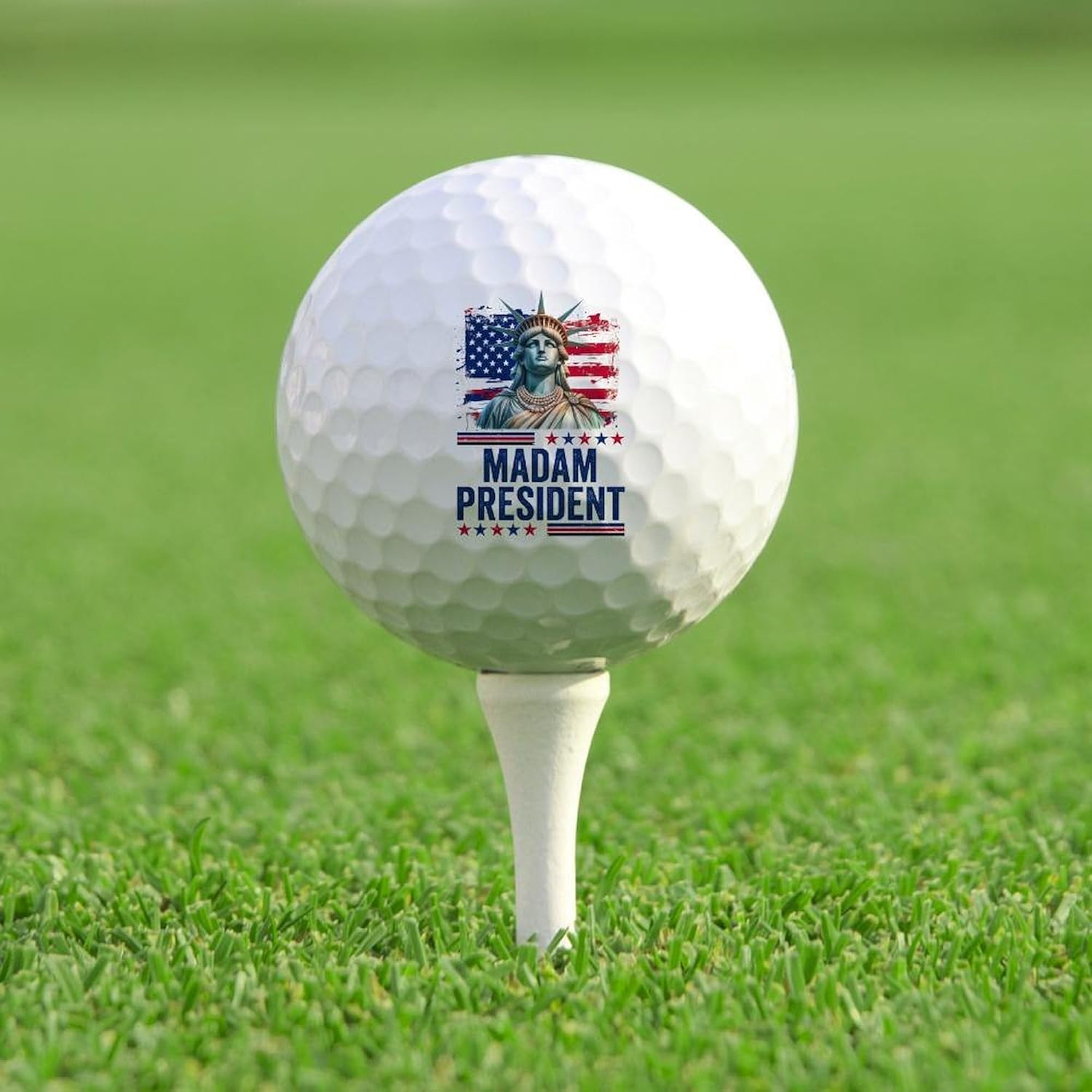 CafePress Madam President Novelty Golf Balls (Pk of 12)
