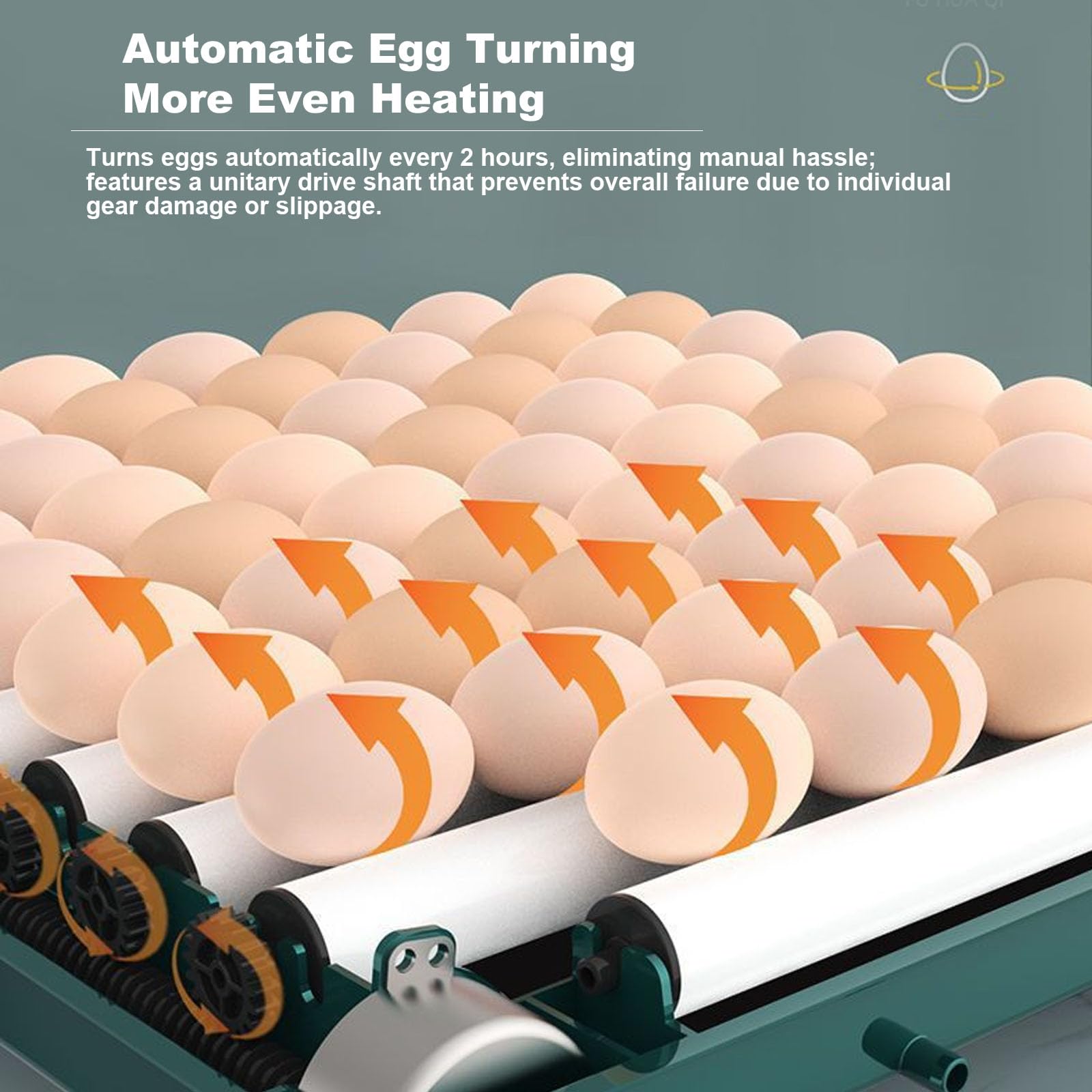Kompaktowy, W Pełni Automatyczny Inkubator Do Jaj Do Użytku Domowego - Mini Cyfrowy Wylęgarnia Jaj Papug, Kurczaków, Kaczek, Gęsi, Przepiórek I Ptaków(Size:48 Eggs)