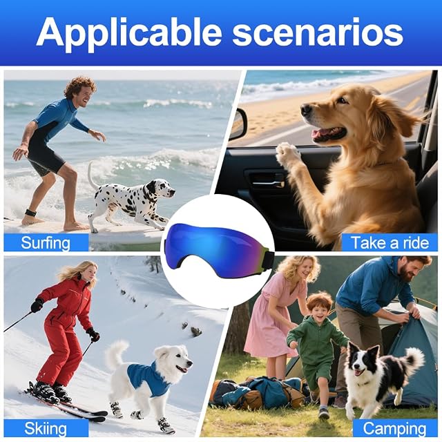 Foto 7 de 7 de XFSRG Gafas de Sol para Perros Envolventes Cortaviento Pequeños Perro Protección UV de Moto Perros Gafas…