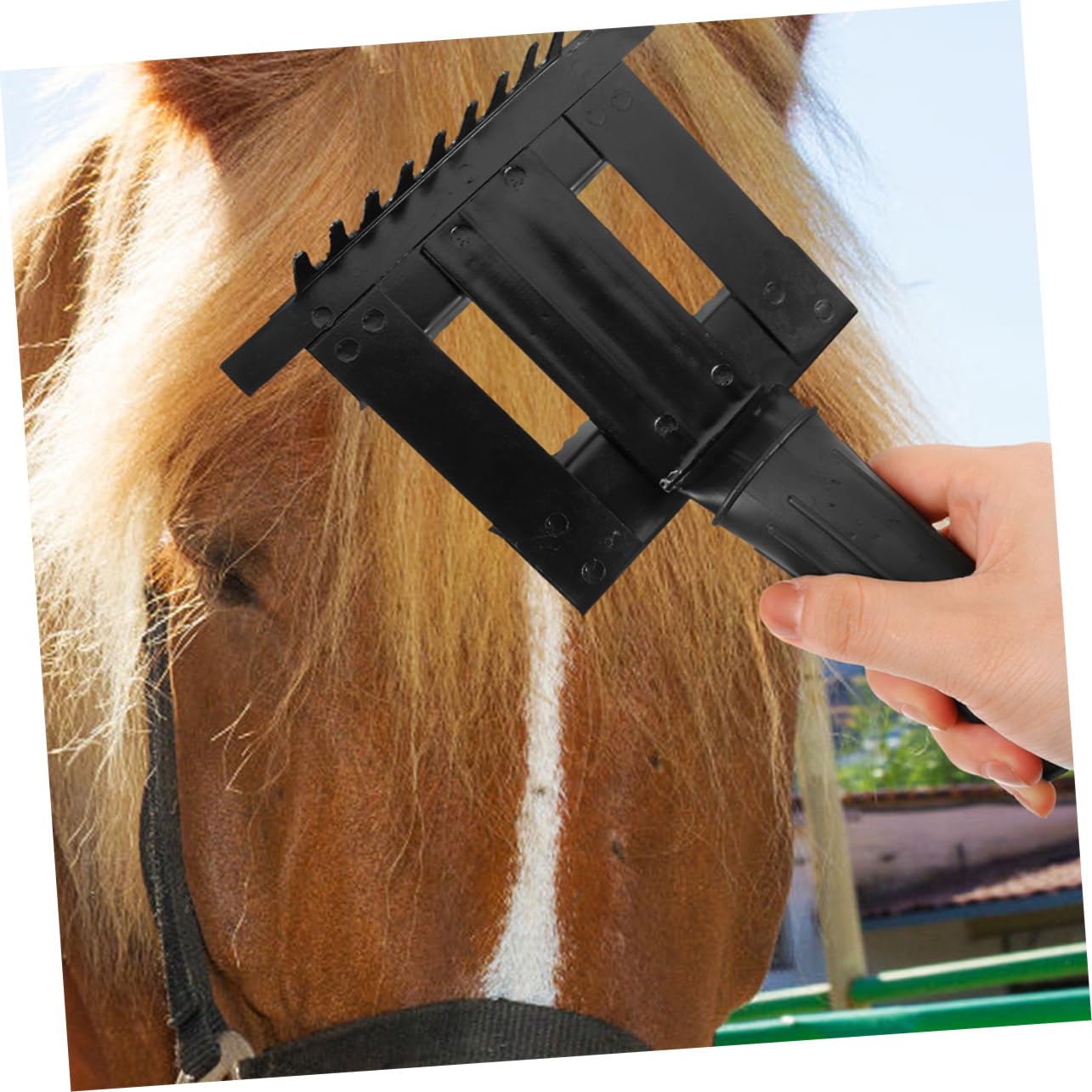 2piezas Cepillo Para Limpiar Pelo De Caballo Accesorio Limpieza Mango Ergonómico Práctico y Fácil De Usar