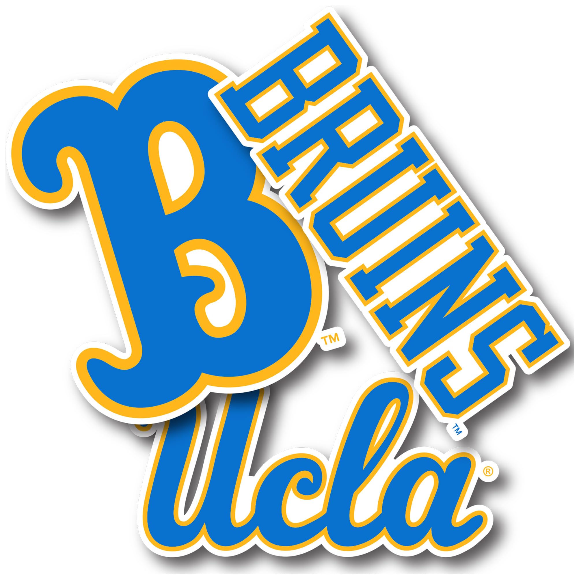 Desert Cactus UCLA Sticker University of California Los Angeles Bruins Vinyl Decals Laptop Water Bottle Car Scrapbook T5 (Type 5-1)