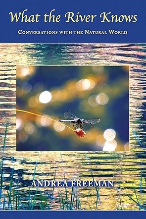 What the River Knows