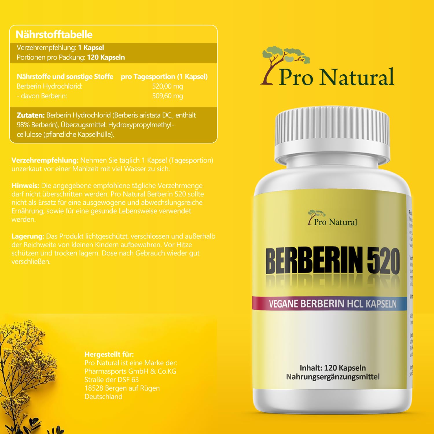 Berberin 520 mg I 120 Kapseln hochdosiert I 100% Vegan I Premiumqualität