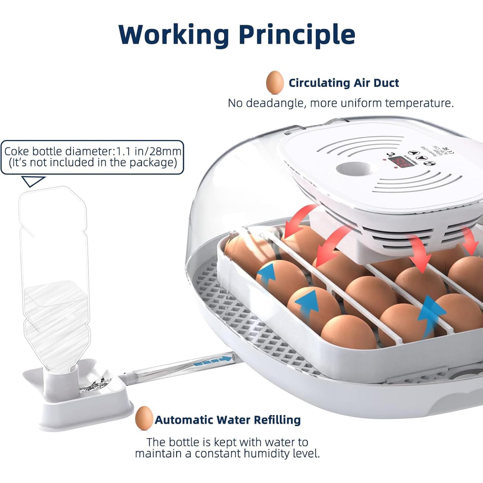 Incubadora digital de huevos, girador automático de huevos y control preciso de temperatura, incubadora para huevos de pollo, codorniz y pato