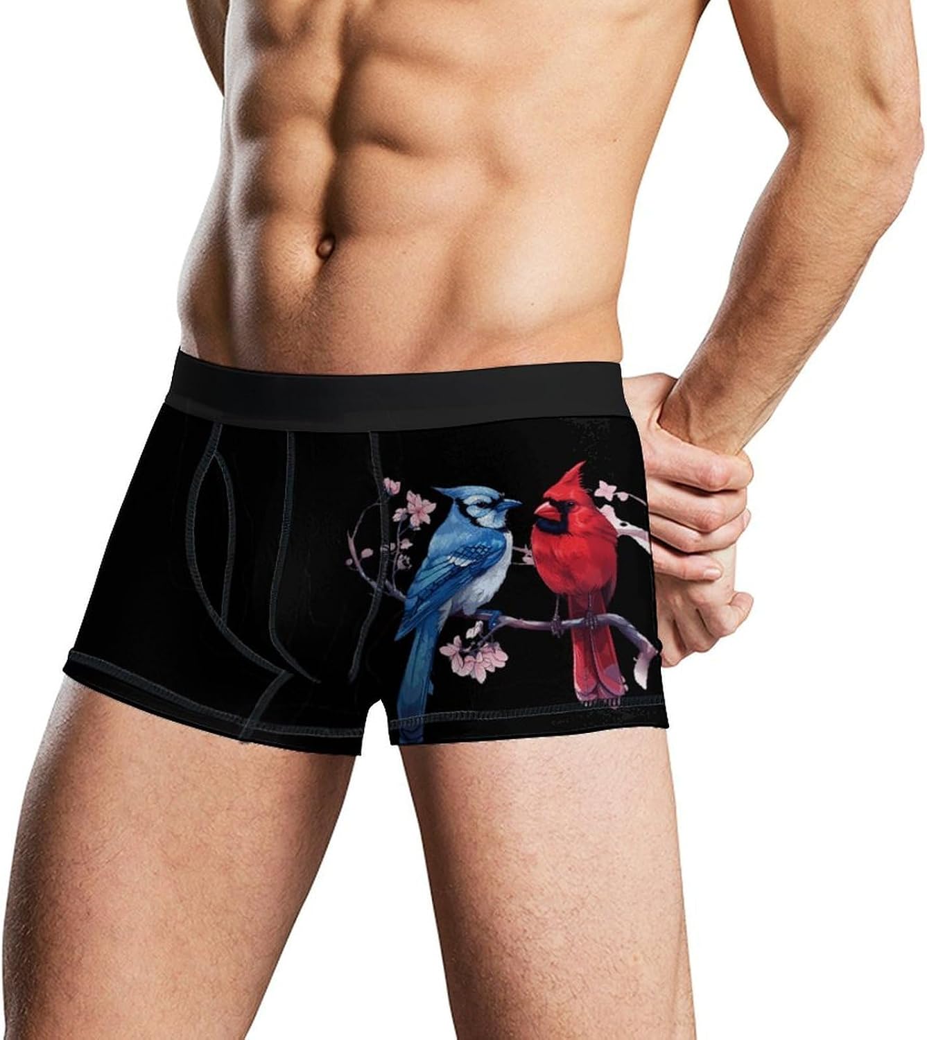 Cardinal Bird Blue Jay Men's Underwear Soft Novelty Boxer Briefs Underpants Shorts Trunks