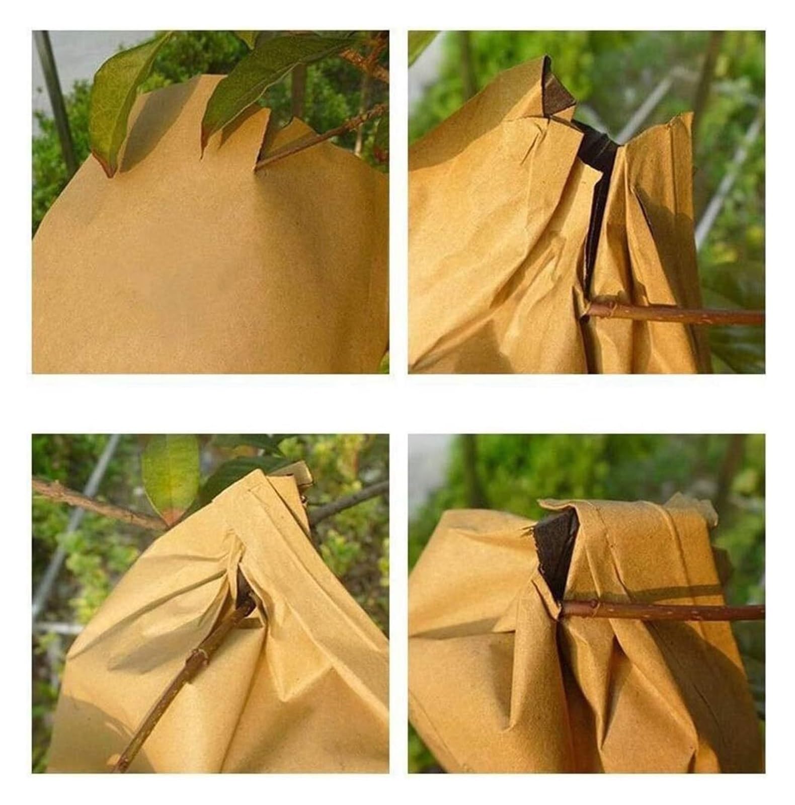 siatka ochronna do owoców, 100 szt. dwuwarstwowych, wodoodpornych worków uprawowych(Black Inside)