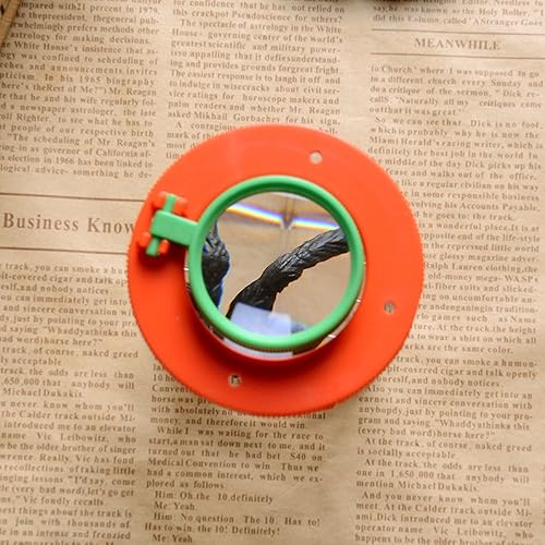 Miniatura 7 de Visor de insectos para niños, lupa 5X, caja atrapa insectos para patio trasero con cordón para el cuello y herramienta de atrapación, ciencia de