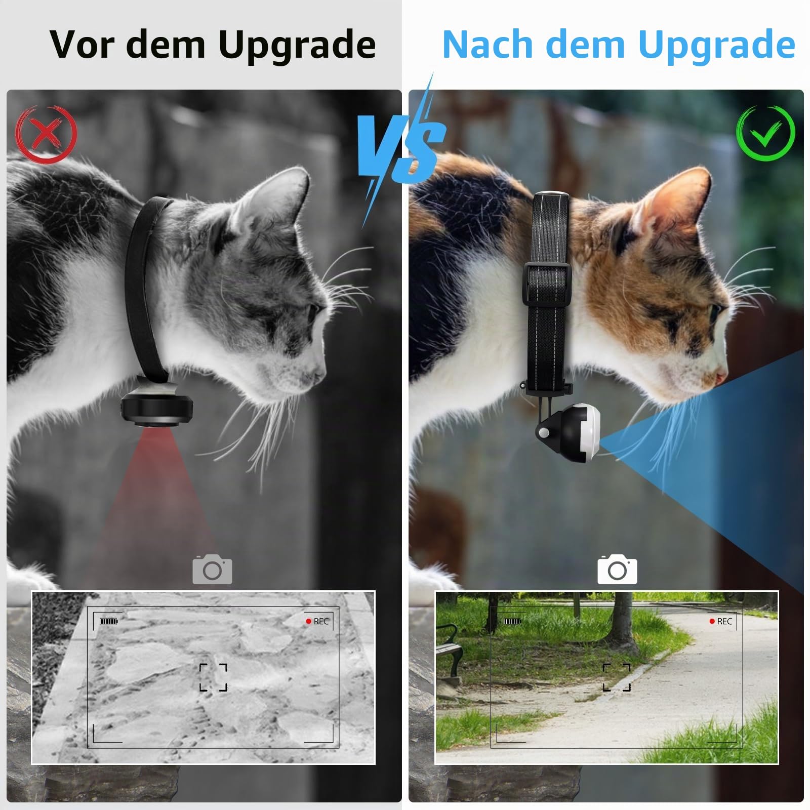HD 1080P Katzen-POV-Kamera Halsband mit Videoaufnahme, Mini-kleine Sport-Videokameras, Body-Cam Outdoor/Indoor ohne WiFi, einzigartiges Haustierzubehör Geschenk für Haustierbesitzer