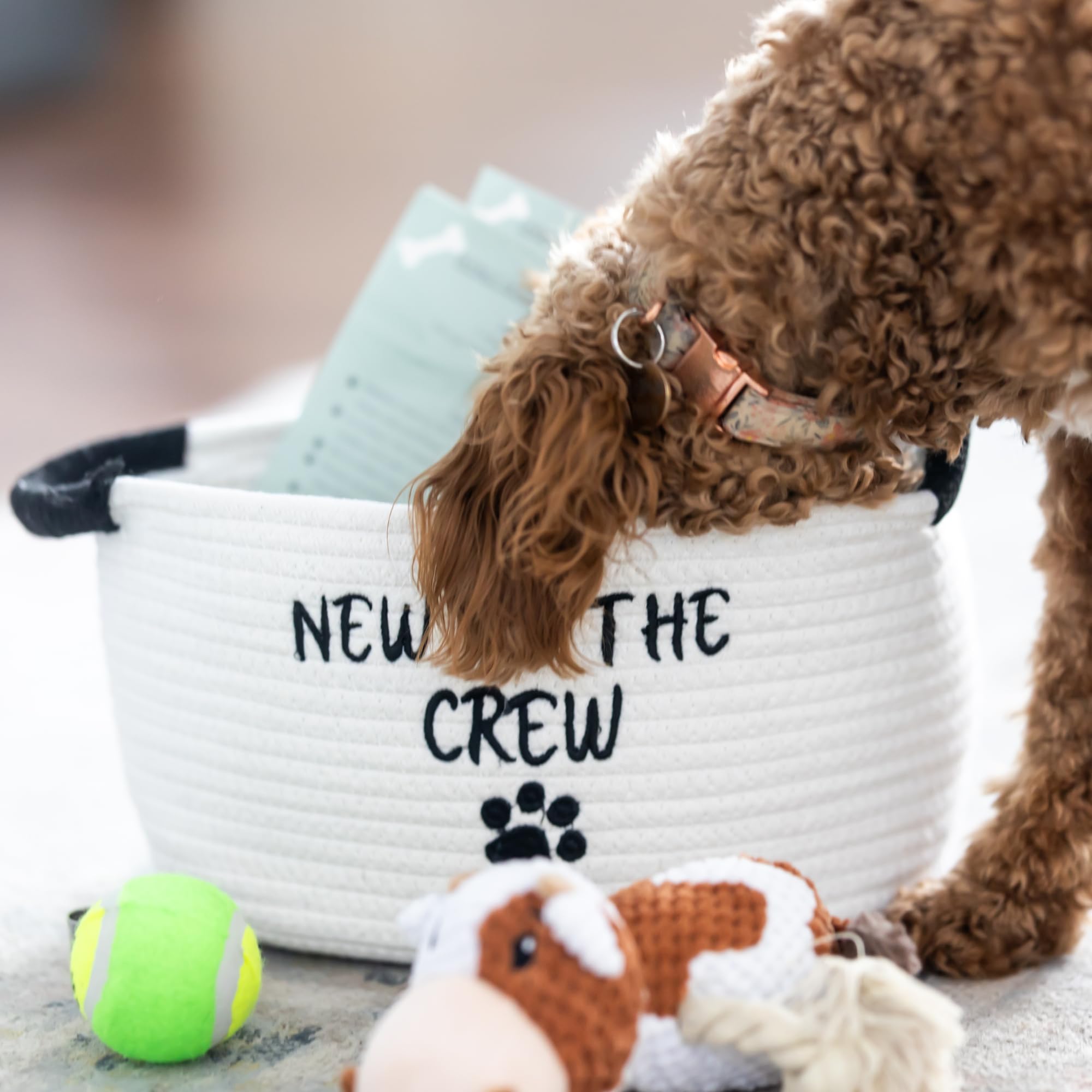 New Puppy Gift Basket - Premium Starter Kit and Dog Gift Basket with Dog Toys - Perfect Doggie Birthday Gifts and Puppy Necessities with Pet Toy Basket.