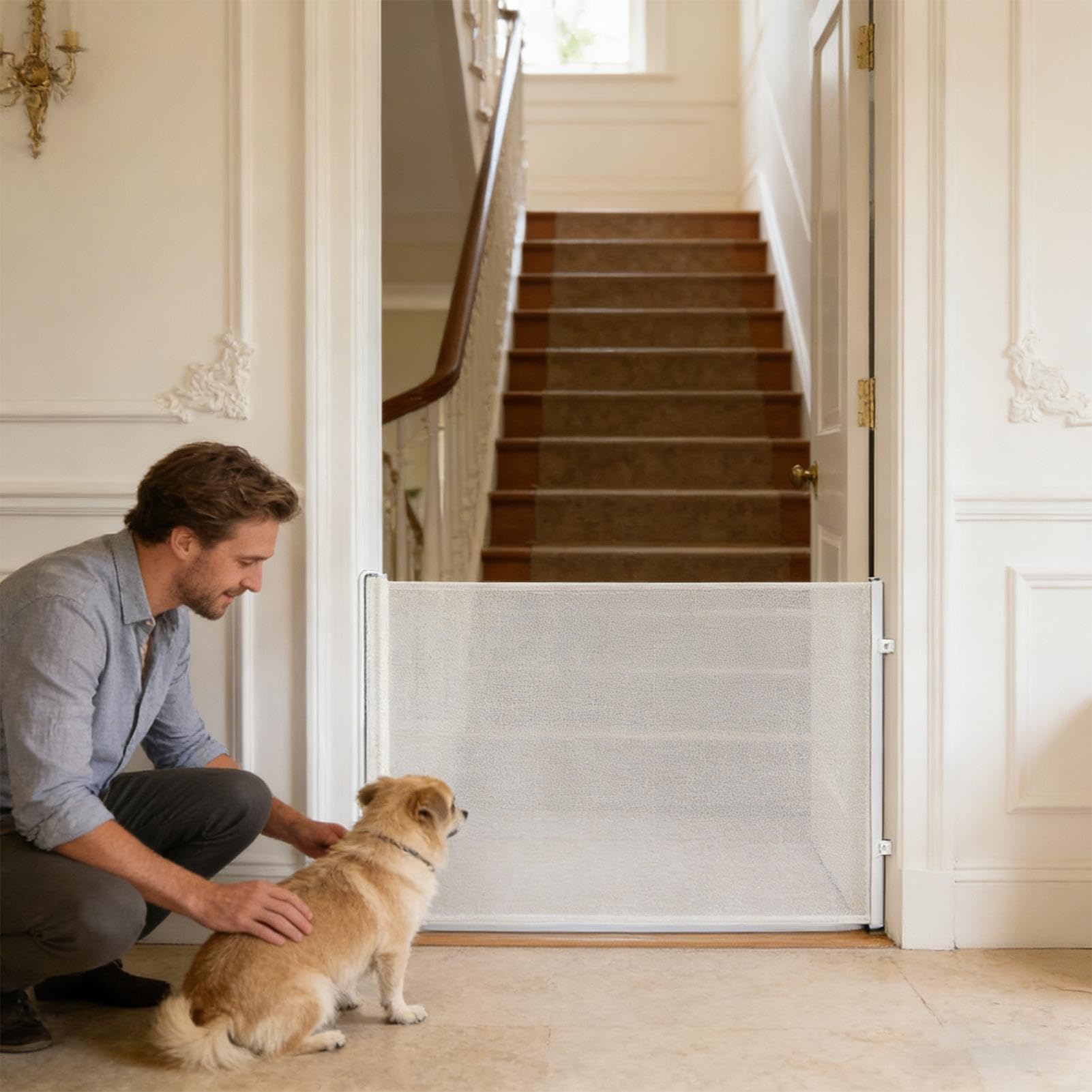Cancello Per Cani Retrattile - Di Sicurezza Per Scale Per Recinti