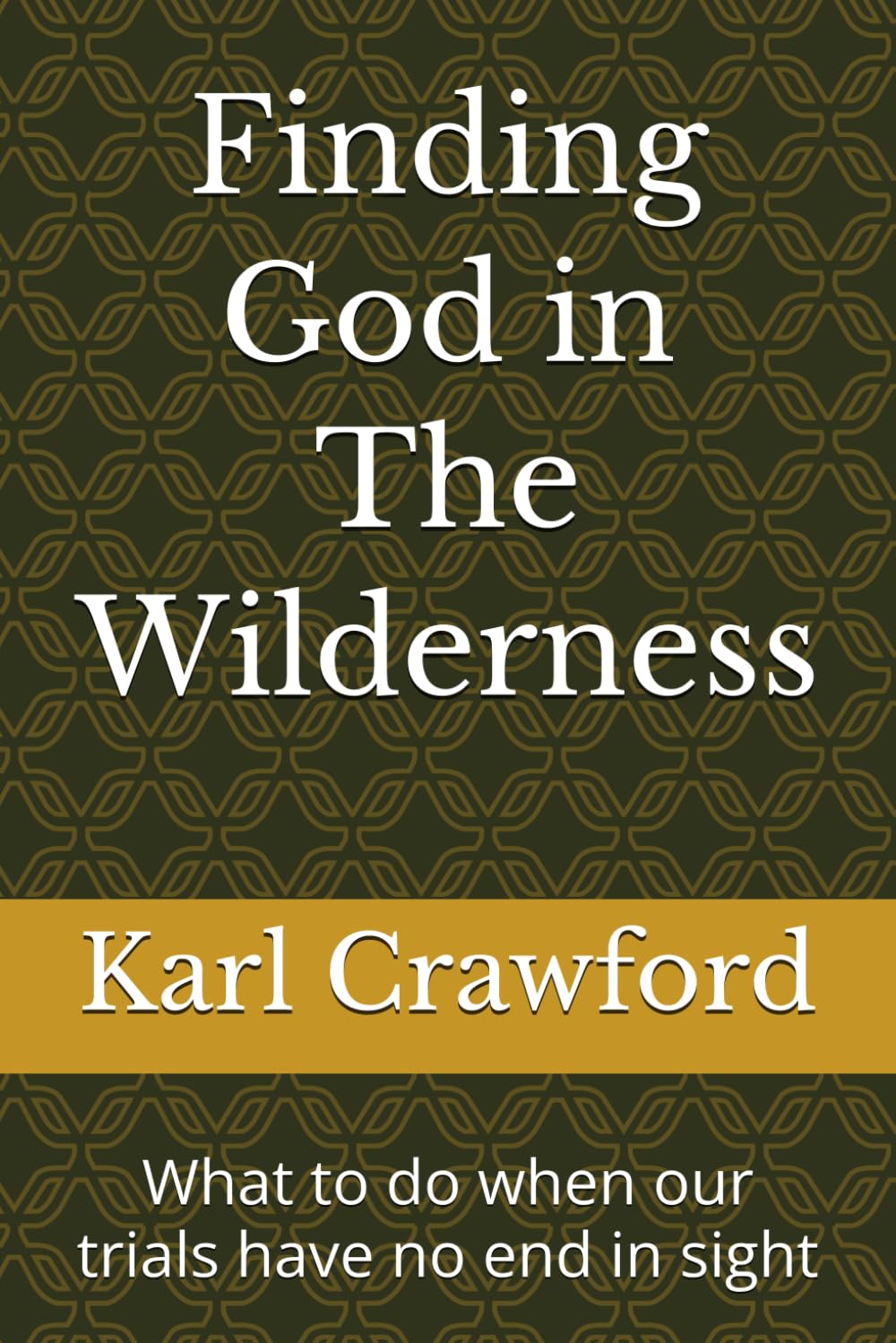 Finding God in The Wilderness: What to do when our trials have no end in sight