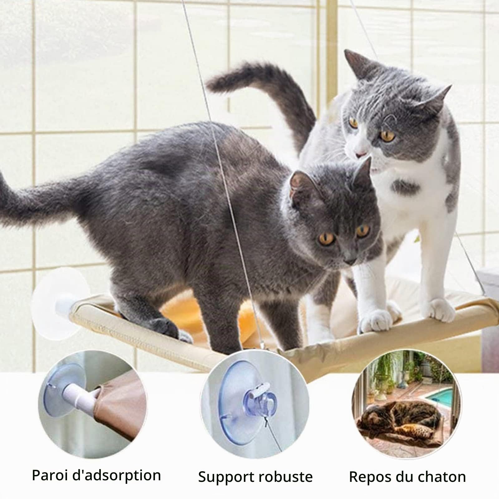 Cirulli Hamac Chat pour Fenêtre - Grande Étagère Murale, Fauteuil Inclinable Jusqu'à 25 kg, Lit Super Stable pour Bronzer, 54x30CM