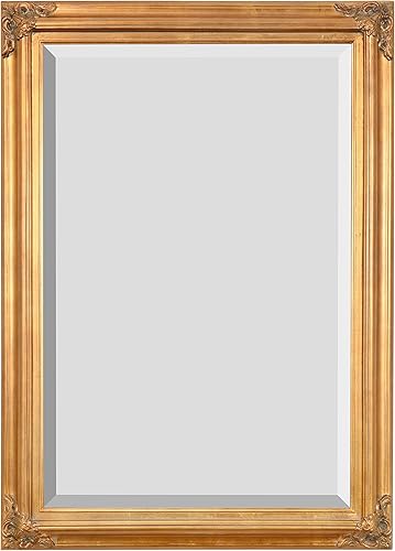 Mini espejo victoriano Grand 24 x 36 pulgadas mármol de burl tradicional oro antiguo