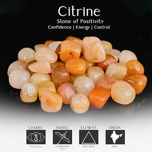 Miniatura 9 de Juego de piedras pulidas de 1 libra, cristales y piedras curativas, piedras preciosas y cristales, piedras pulidas y cristales a granel, piedras