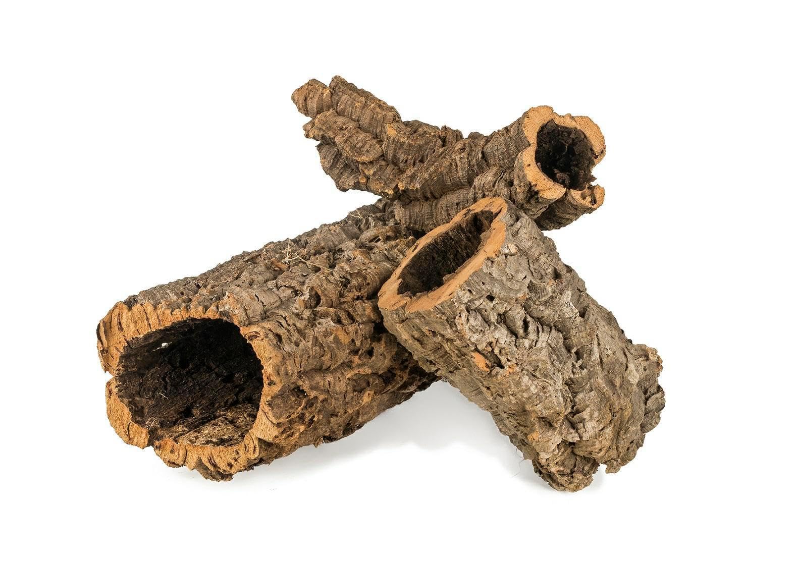 Korkrohr Happet - natürliche Korkeiche Rinde - Kletterzubehör für Reptilien, Wirbellosen und kleine Säugetiere, universell und ästhetisch für Terrarien und Volieren (5-10cm x 60cm)
