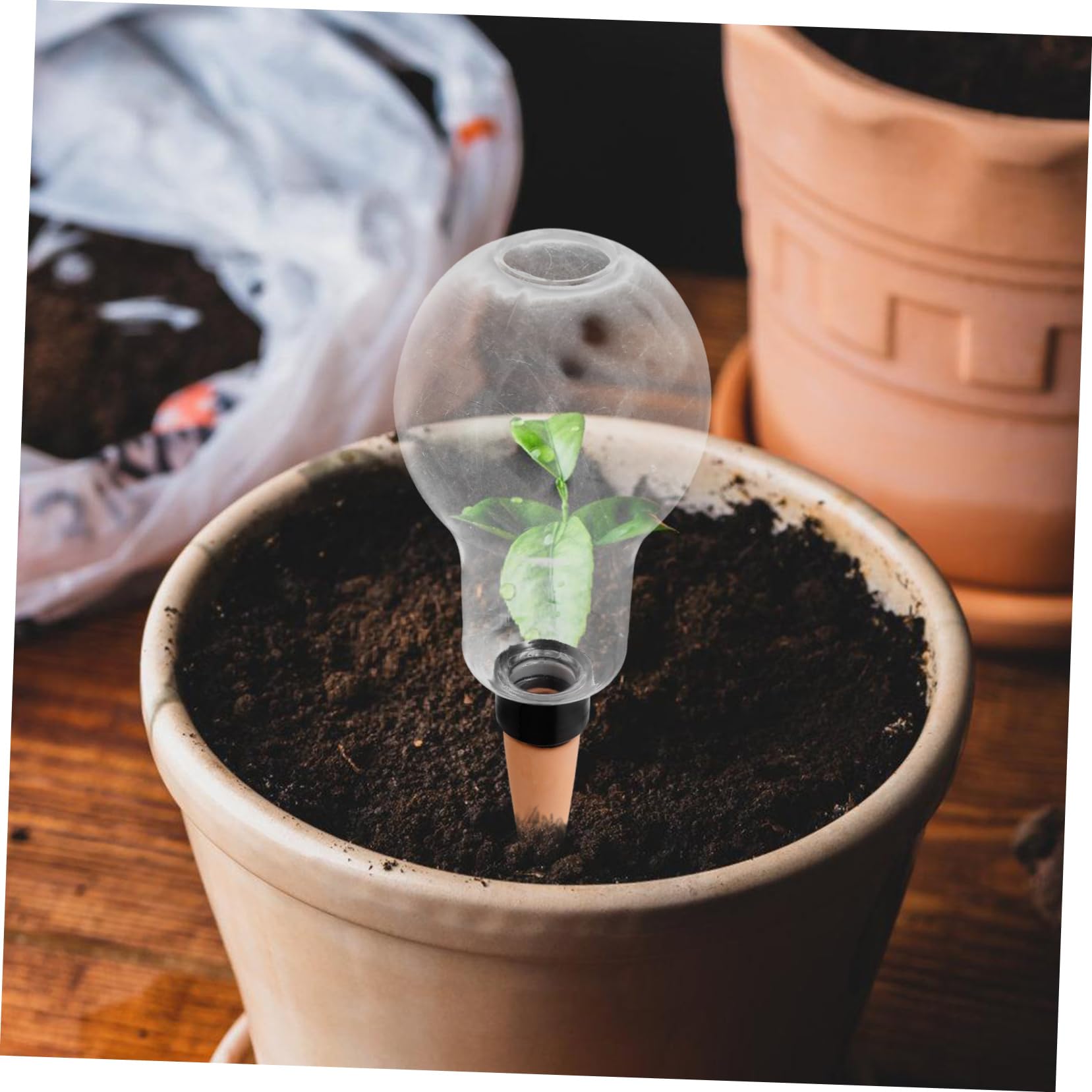 Hemobllo 8pièces Distributeur Automatique Eau pour Plantes Globe Arrosage Système Irrigation à pour Plantes Intérieur Et Extérieur Entretien Simplifié Et Hydratation des Végétaux