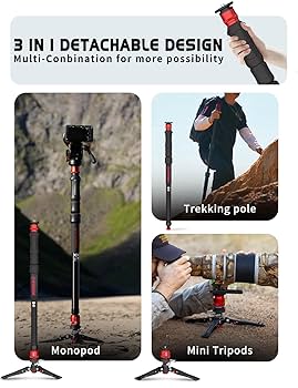 超おまけ付☆iFootage一脚COBRA 3 Strike A150S-III Amazon.com : IFOOTAGE Cobra 3 Strike A150S Monopod Camera