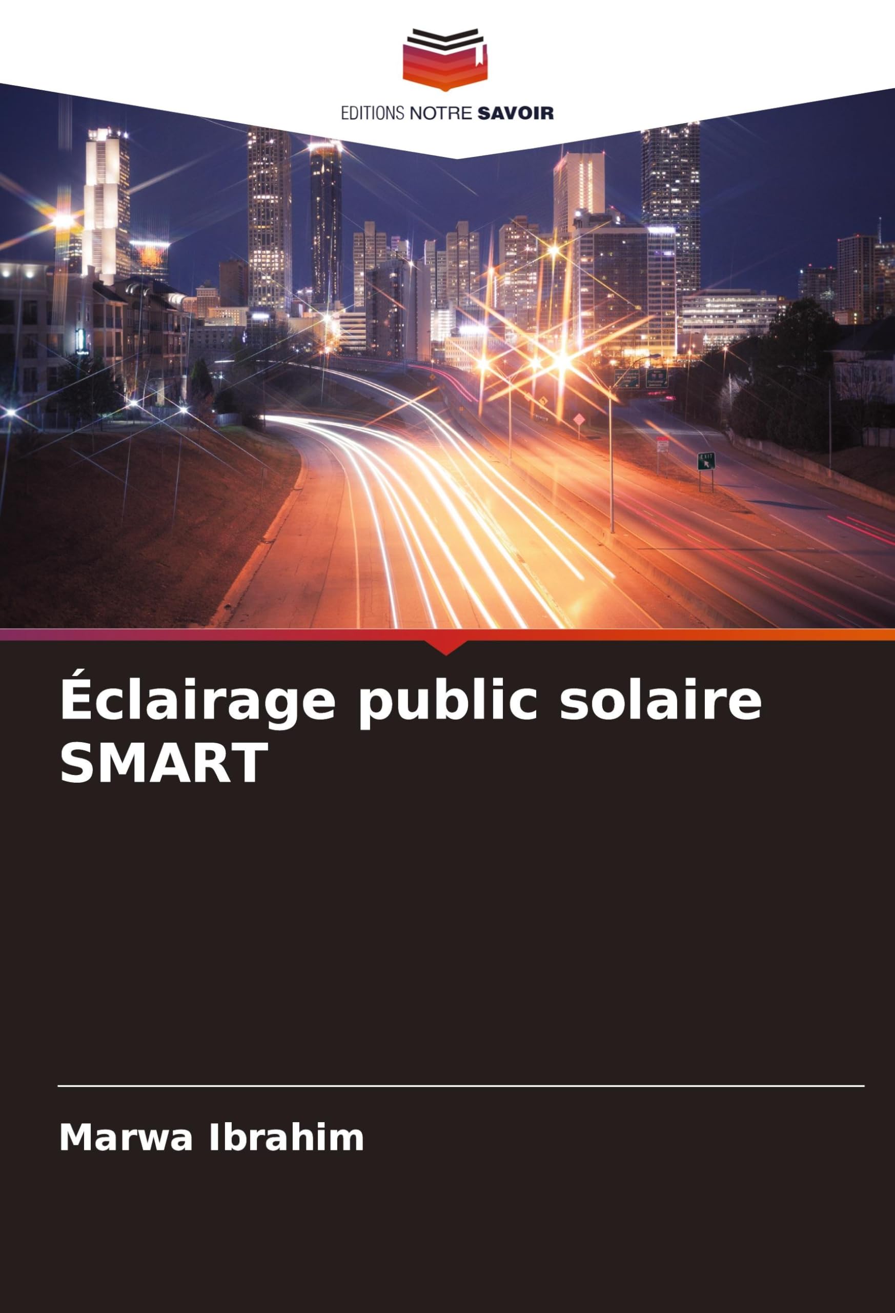 Éclairage public solaire SMART