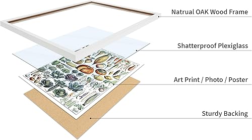 Miniatura 408 de Poster Master Póster vintage de orquídea, estampado de flores retro, arte de pared de plantas exóticas, arte botánico, regalo para hombres y