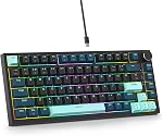 75 Percent Keyboard Gasket-Mounted with Sound Absorbing Pads, 82-Key Compact Wired RGB Mechanical Gaming Keyboard Hot-Swap Socket for Mac/Win, Gray Black White