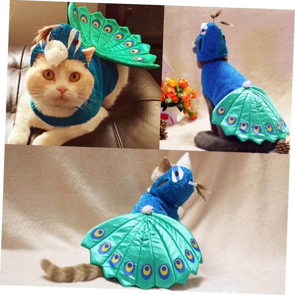 BESPORTBLE 2 Pezzi Di Abbigliamento Per Animali Domestici Per Gatti Cani Animali Domestici Costume Aarel Design Divertente Per Occasioni Speciali