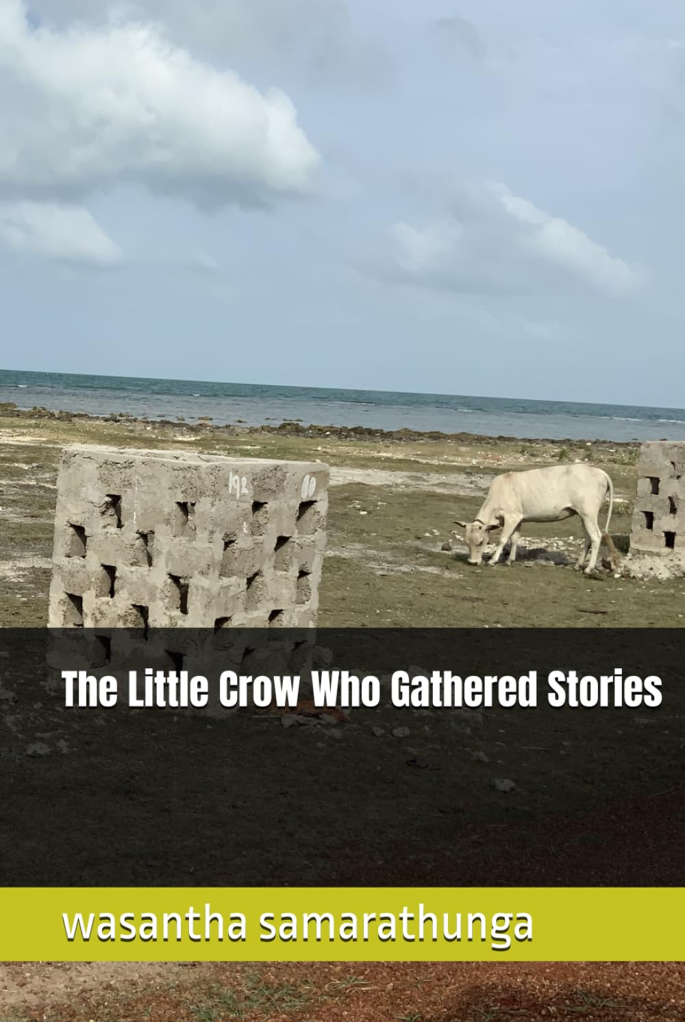 The Little Crow Who Gathered Stories