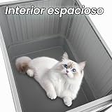 Ver la foto 4